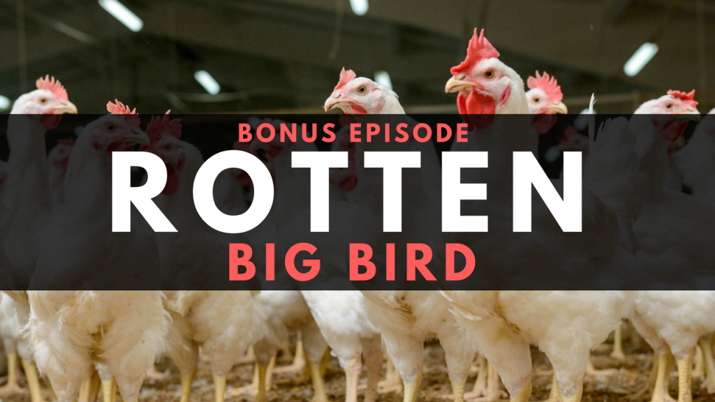 Rotten - Episode 4: Big Bird